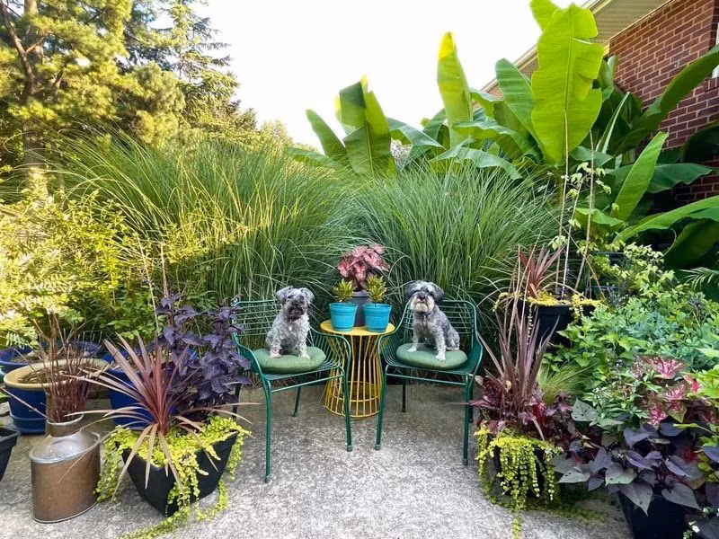 Bringing the Outdoors In