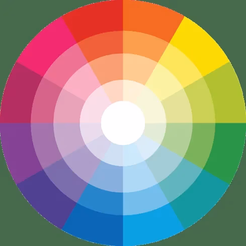 Creating a Harmonious Color Palette